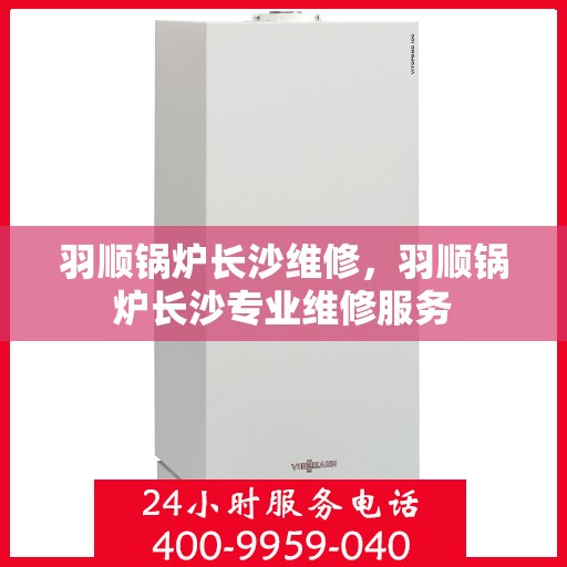 羽顺锅炉长沙维修，羽顺锅炉长沙专业维修服务