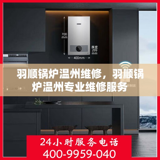 羽顺锅炉温州维修，羽顺锅炉温州专业维修服务
