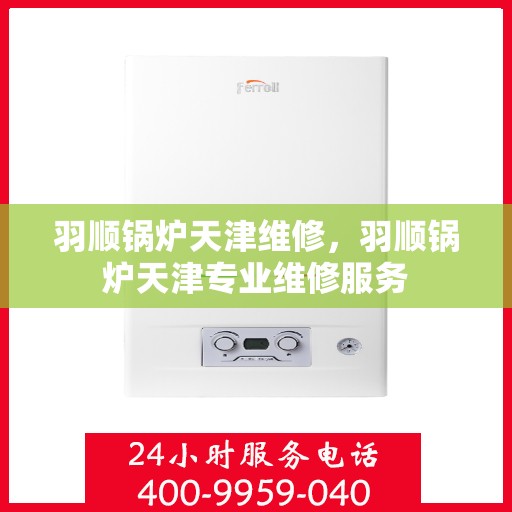 羽顺锅炉天津维修，羽顺锅炉天津专业维修服务