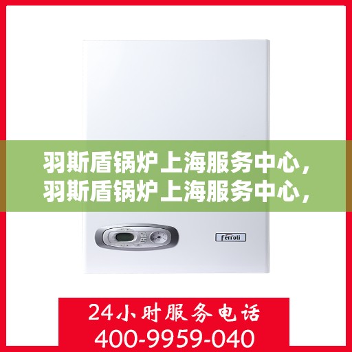羽斯盾锅炉上海服务中心，羽斯盾锅炉上海服务中心，专业维修与优质服务的守护者