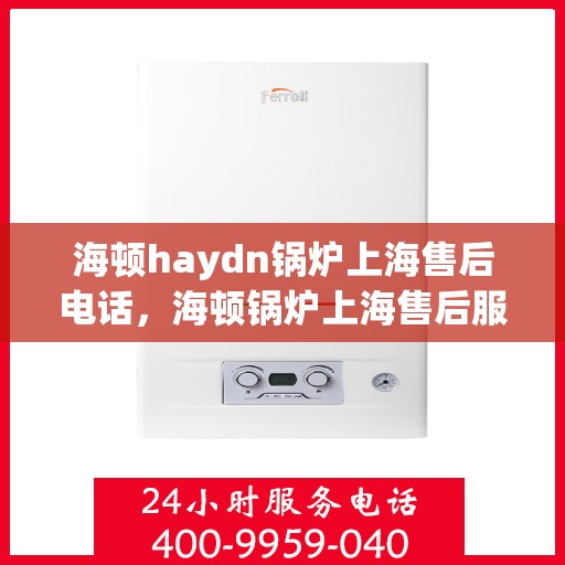 海顿haydn锅炉上海售后电话，海顿锅炉上海售后服务中心联系电话